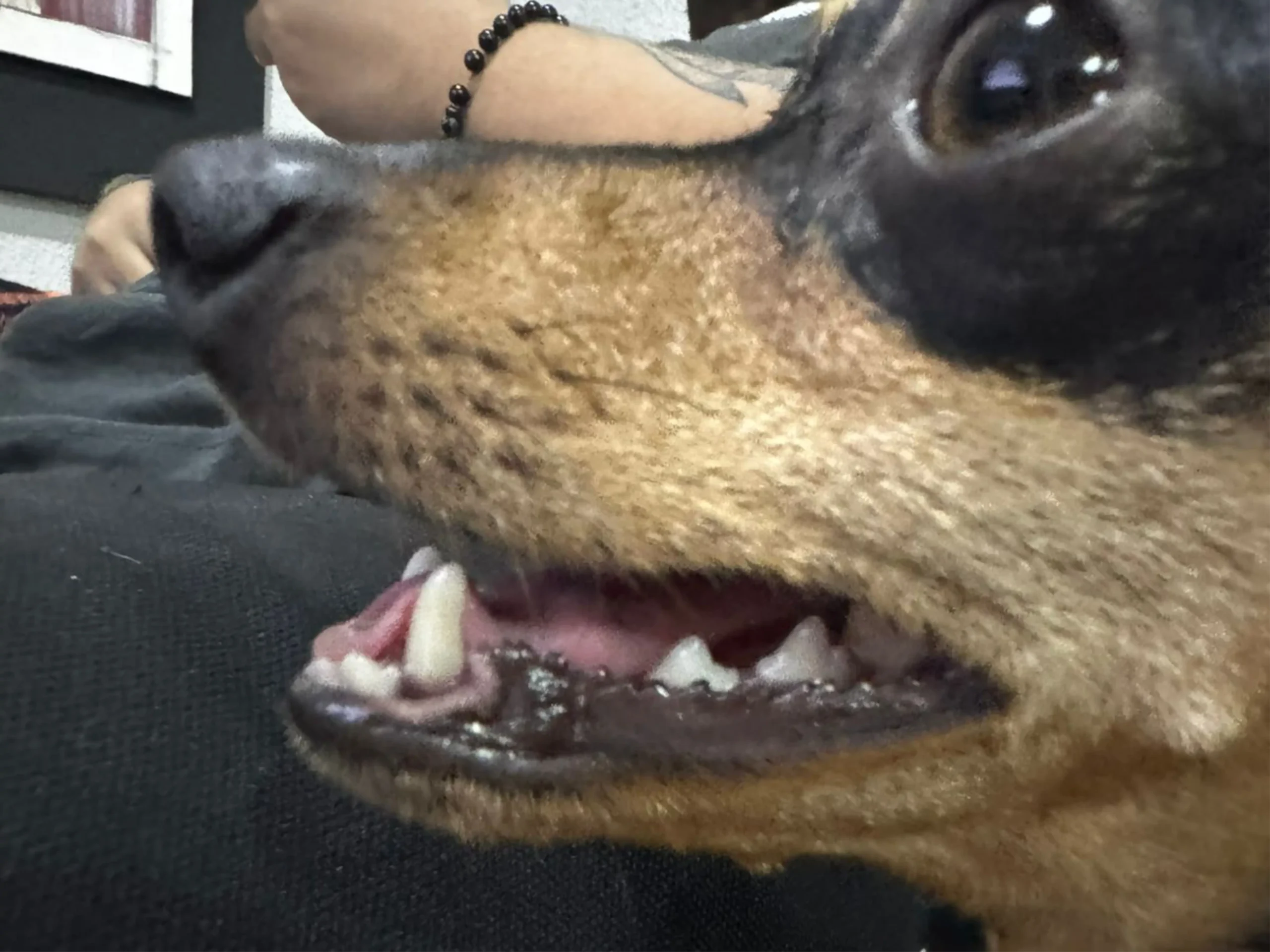 depoisjas depoisjas